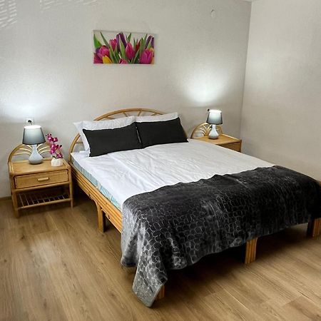 סראייבו Appartment Zlatan מראה חיצוני תמונה